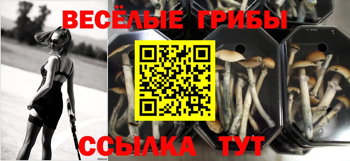Галлюциногенные грибы прущие грибы  Вход с VPN  Магнитогорск 