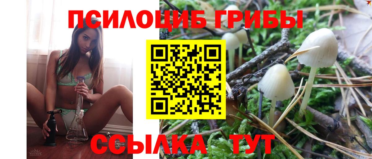 Псилоцибиновые грибы Psilocybine cubensis Магнитогорск